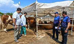 Muratpaşa Kurban Bayramı'na hazır