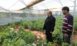 Mersin'de dolu tarım alanlarına zarar verdi