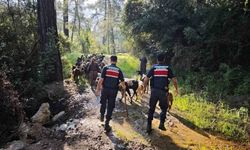 Kaybolan keçiler jandarma tarafından bulundu