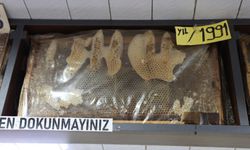 Görenler dönüp bir daha bakıyor, 35 yıllık bal çerçeveleri dikkat çekiyor