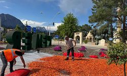 Kemer'de peyzaj uygulamaları