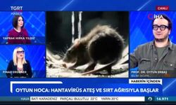 Prof. Dr. Oytun Erbaş’tan hantavirüs açıklaması