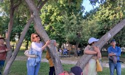 Antalya’nın ‘Göçmen Ağaçları’ keşfedildi