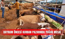 Bayram öncesi kurban pazarında yoğun mesai