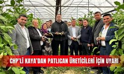 CHP’li Kaya’dan patlıcan üreticileri için uyarı