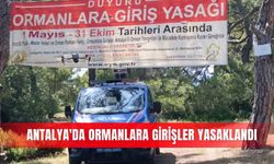 Antalya'da ormanlara girişler yasaklandı