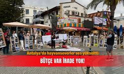 Antalya’da hayvanseverler ses yükseltti: Bütçe var irade yok!