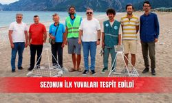 Sezonun ilk yuvaları tespit edildi