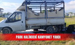 Park halindeki kamyonet yandı