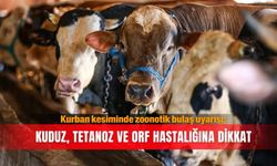 Kurban kesiminde zoonotik bulaş uyarısı; kuduz, tetanoz ve orf hastalığına dikkat