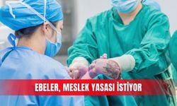 Ebeler, meslek yasası istiyor
