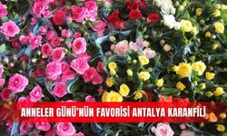 Anneler Günü’nün favorisi Antalya karanfili