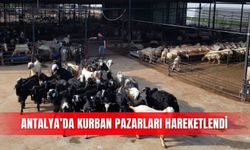 Antalya’da kurban pazarları hareketlendi