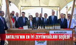Antalya’nın en iyi zeytinyağları seçildi