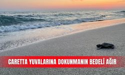 Caretta yuvalarına dokunmanın bedeli ağır