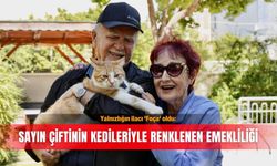 Yalnızlığın ilacı 'Foça' oldu: Sayın çiftinin kedileriyle renklenen emekliliği