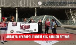 Antalya Nekropolü’ndeki kuş kabusu bitiyor