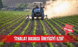 ‘İthalat baskısı üreticiyi ezdi’