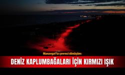 Manavgat’ta çevreci dönüşüm: Deniz kaplumbağaları için kırmızı ışık