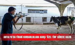Antalya’da firari kurbanlıklara karşı 'özel tim' göreve hazır