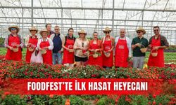 Foodfest’te ilk hasat heyecanı