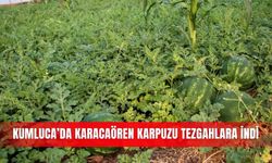 Kumluca’da Karacaören karpuzu tezgahlara indi