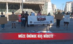 Müze önünde kuş nöbeti!