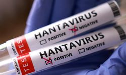 Hantavirüs'de son durum: Birçok ülke vatandaşlarını tahliye için bekliyor