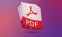 PDF Dosyaları Neden Boyut Sorununa Yol Açar ve Bunu Nasıl Çözersiniz