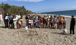Yılın ilk caretta caretta yuvası korumaya alındı