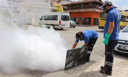 Büyükşehir 19 ilçede vektörle mücadele ediyor