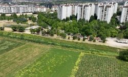 Milyonlarca liralık konutların arasında tarımsal üretim mücadelesi