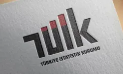 TÜİK: En fazla pay konut ve kira harcamalarının