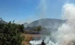 Mersin'de otluk alanda yangın