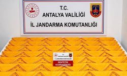 Alanya’da otel odasına uyuşturucu baskını