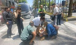 Motosikletin çarptığı Alman kadın turist yaralandı