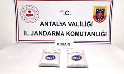 Konyaaltı'nda 'zehir' operasyonu
