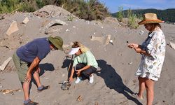 Gazipaşa'da deniz kaplumbağası ölü bulundu