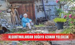 Algoritmalardan doğaya uzanan yolculuk