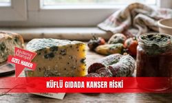 Küflü gıdada kanser riski