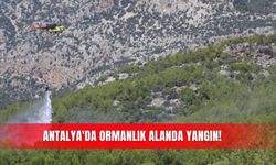 Antalya'da ormanlık alanda yangın!