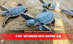 Antalya'nın çevre başarısı: 4 otel ‘Kaplumbağa Dostu Sertifika’ aldı
