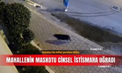 Antalya’da infial yaratan iddia: Mahallenin maskotu cinsel istismara uğradı