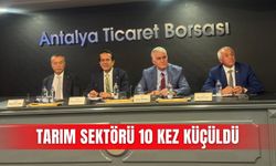 Tarım sektörü 10 kez küçüldü