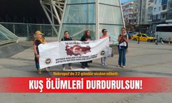 Nekropol'de 22 gündür vicdan nöbeti: Kuş ölümleri durdurulsun!