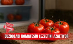 Buzdolabı domatesin lezzetini azaltıyor