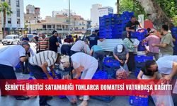 Serik'te üretici satamadığı tonlarca domatesi vatandaşa dağıttı