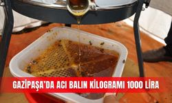 Gazipaşa’da acı balın kilogramı 1000 lira