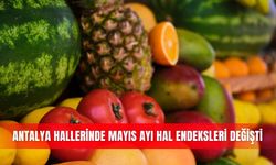 Antalya hallerinde mayıs ayı hal endeksleri değişti