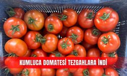 Kumluca domatesi tezgahlara indi